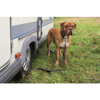 DogSitter - mobiler Ankerpunkt für Ihren Hund (Camping Wohnmobil Wohnwagen)
